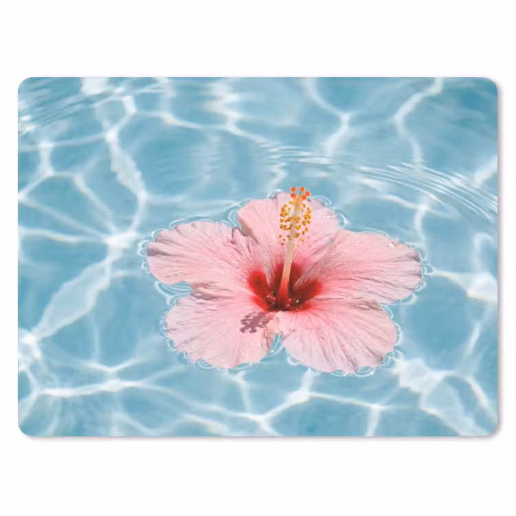 Muismat - Hibiscus - Water - Roze — 1