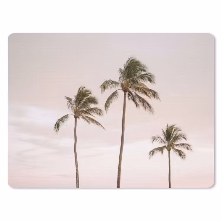 Muismat - Palmbomen - Zonsondergang - Roze — 1