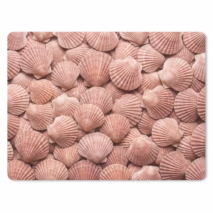 Muismat - Schelpen - Patroon - Roze — 1