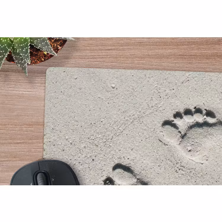 Muismat - Voeten - Zand - Zee — 4