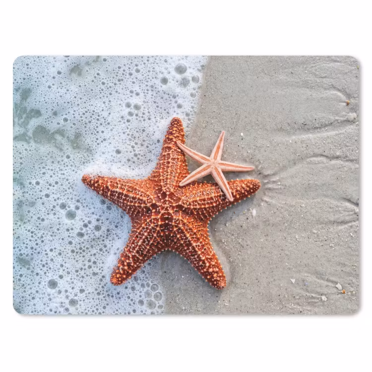 Muismat - Zeester - Strand - Zee — 1