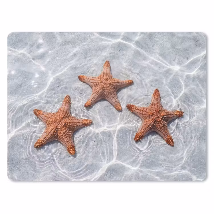 Muismat - Zeesterren - Water - Helder — 1