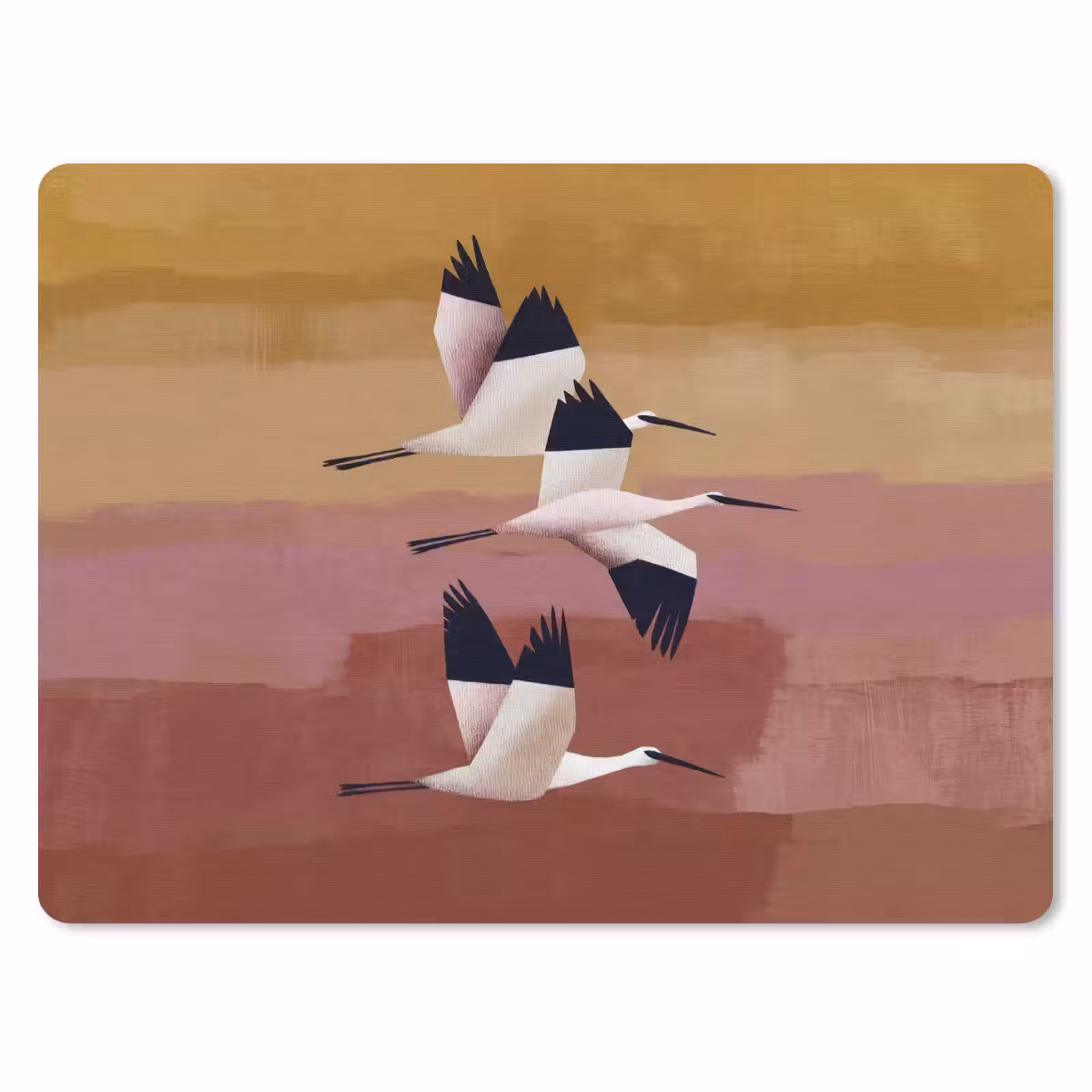 Muismat - Vogels - Snavel - Abstract — 1