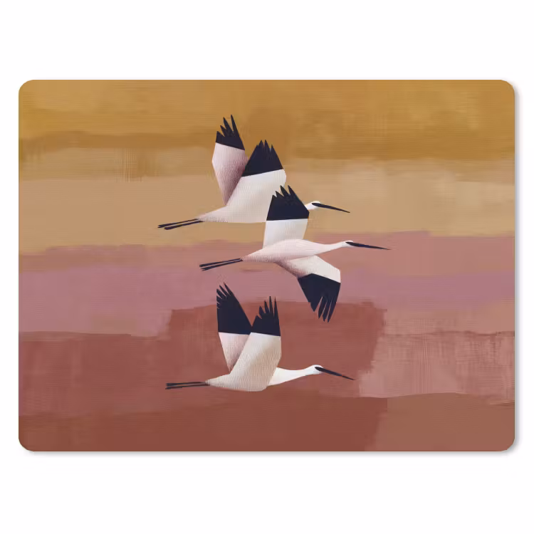Muismat - Vogels - Snavel - Abstract — 1