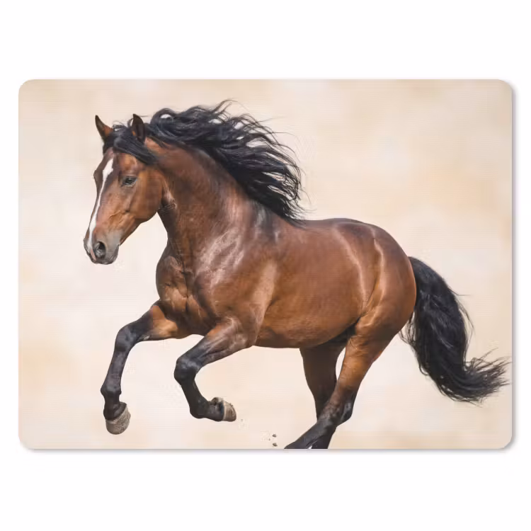 Muismat - Paard - Galop - Energie — 1