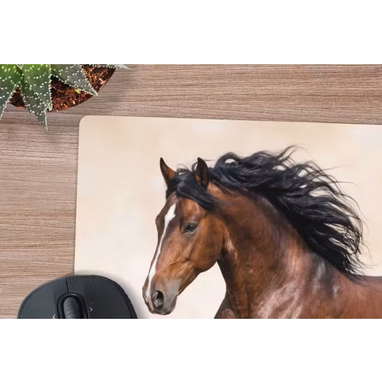 Muismat - Paard - Galop - Energie — 4