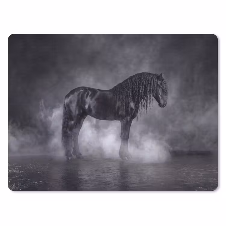 Muismat - Paard - Magisch - Zwart — 1