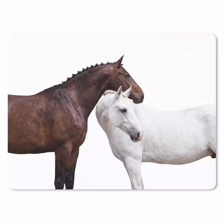 Muismat - Paard - Modern - Balans — 1