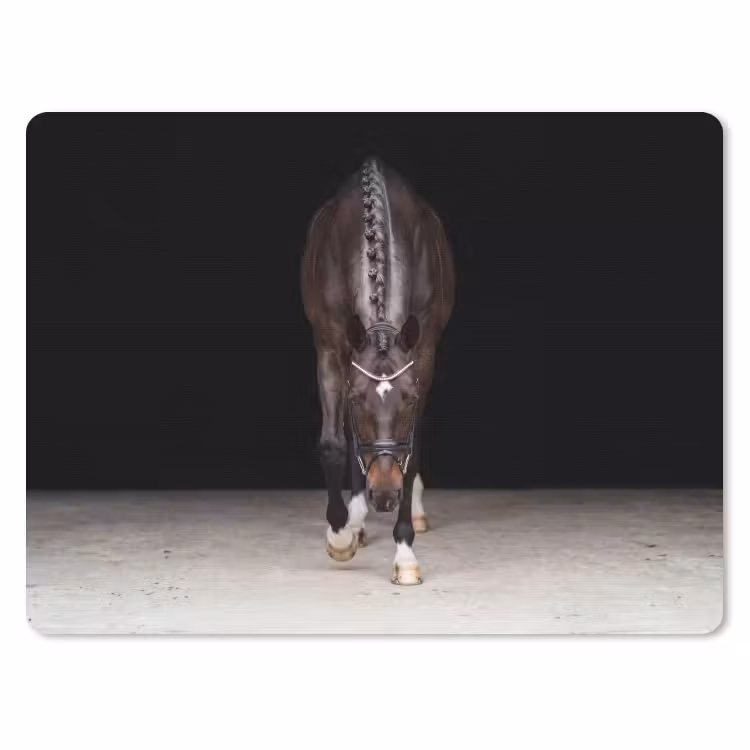 Muismat - Paard - Modern - Portret — 1