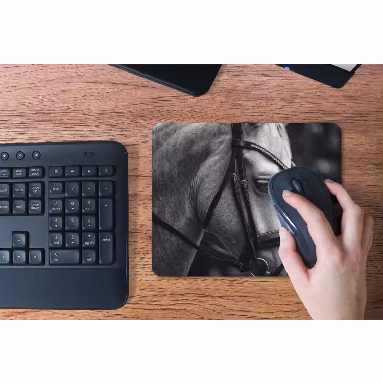 Muismat - Paard - Schimmel - Portret — 3