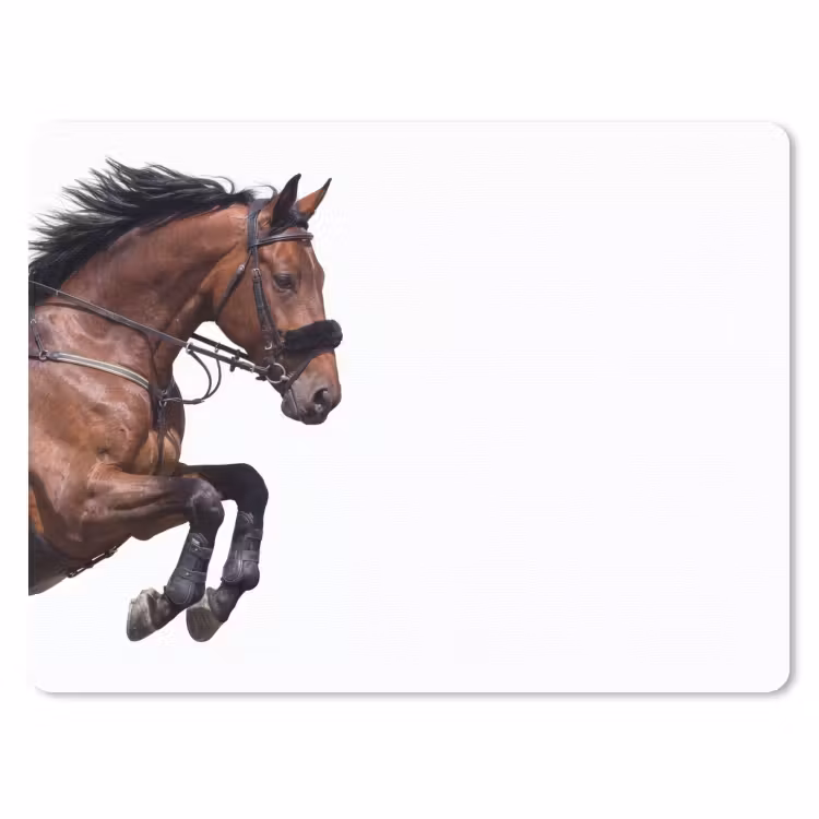 Muismat - Paard - Springen - Modern — 1