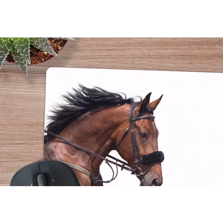 Muismat - Paard - Springen - Modern — 4