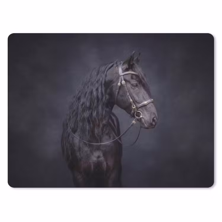Muismat - Portret - Paard - Donker — 1