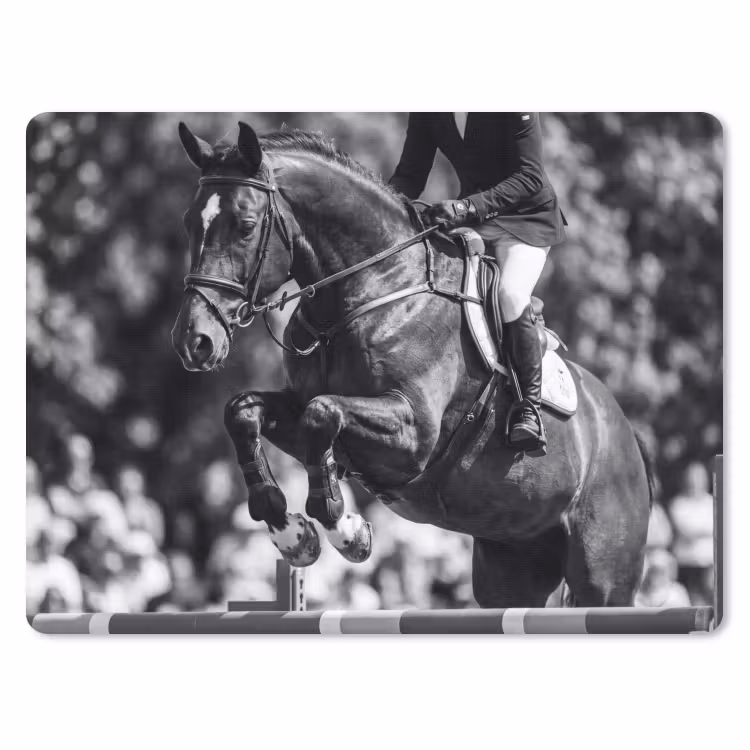Muismat - Springen - Paard - Zwart - Wit — 1