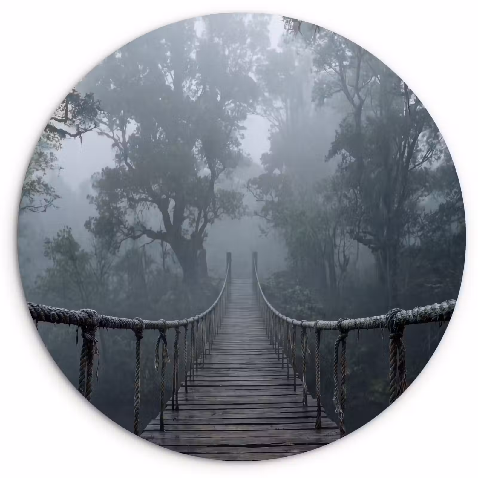 Muurcirkel - Brug - Jungle - Mist - Natuur — 1