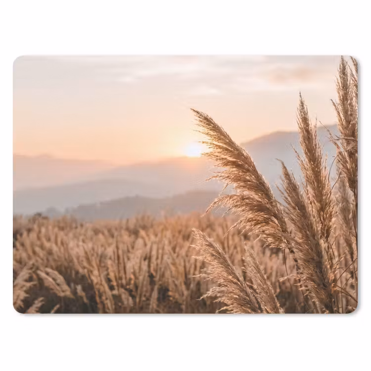 Muismat - Gras - Veld - Zon - Natuur — 1