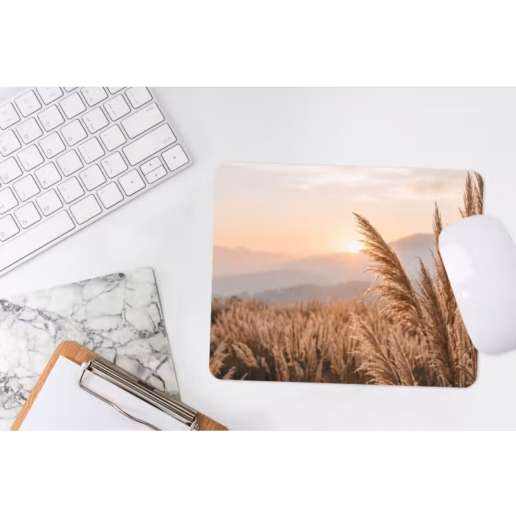 Muismat - Gras - Veld - Zon - Natuur — 2