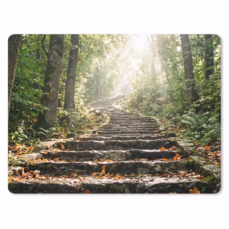 Muismat - Stenen - Trap - Bos - Natuur — 1
