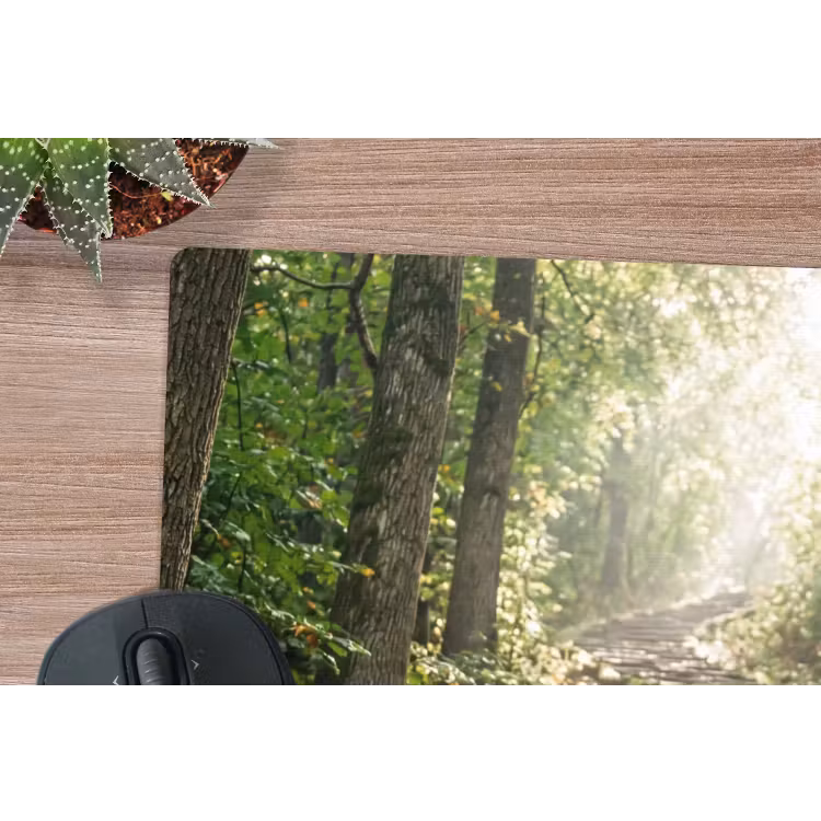 Muismat - Stenen - Trap - Bos - Natuur — 4