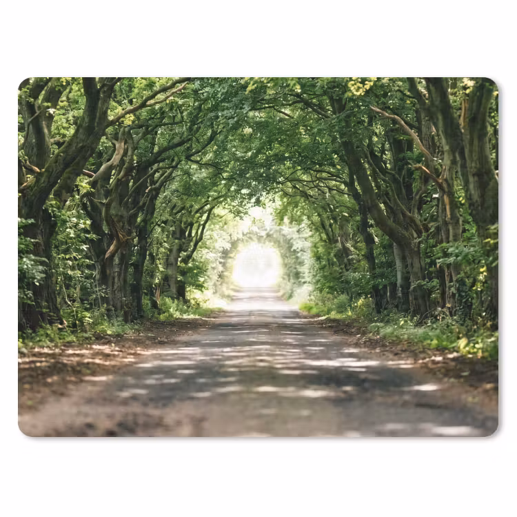 Muismat - Weg - Bomen - Natuur - Groen — 1