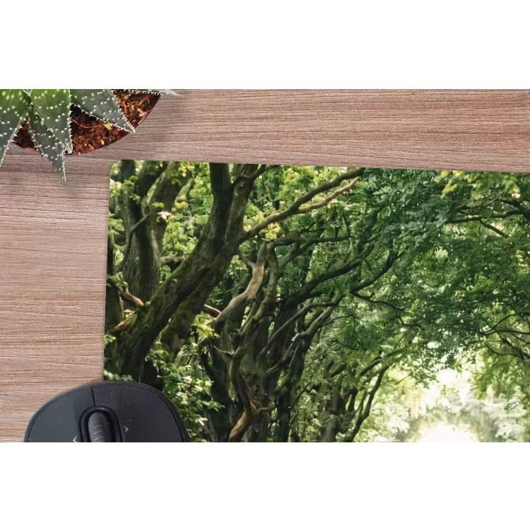 Muismat - Weg - Bomen - Natuur - Groen — 4