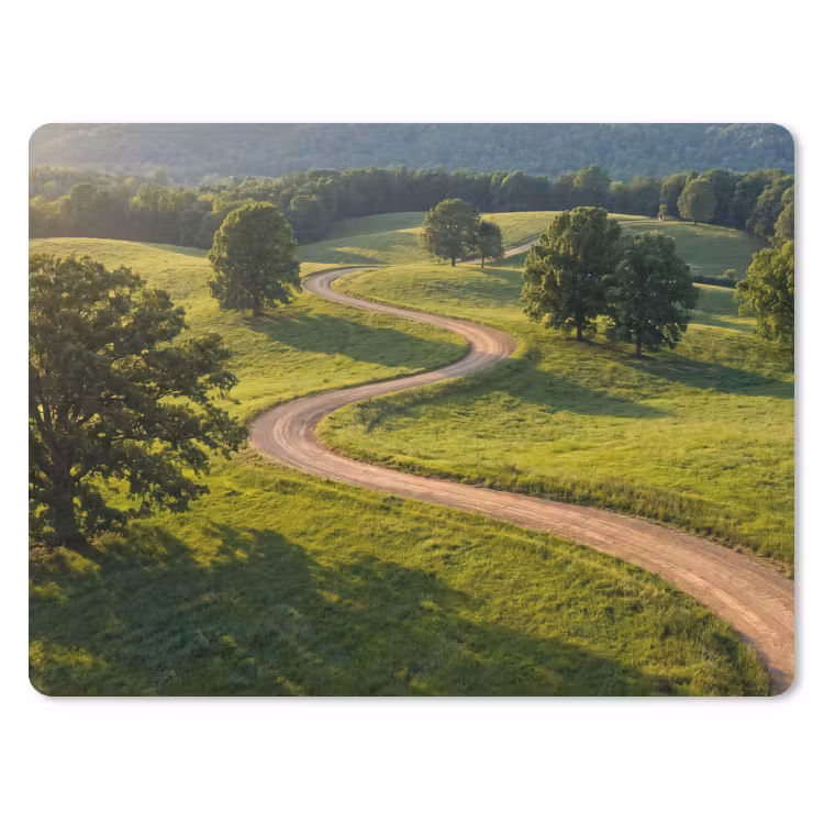 Muismat - Weg - Weide - Natuur - Groen — 1