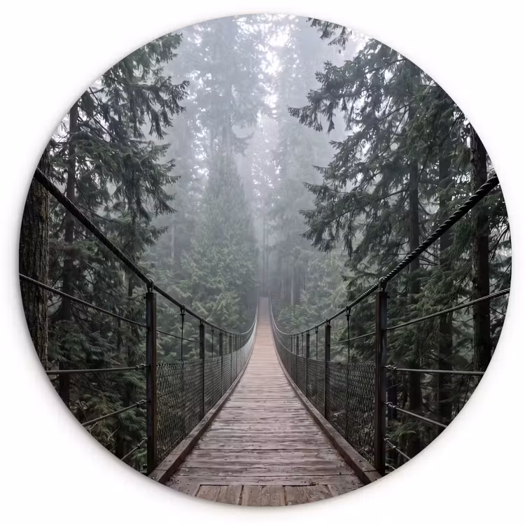 Muurcirkel - Brug - Bos - Mist - Natuur — 1