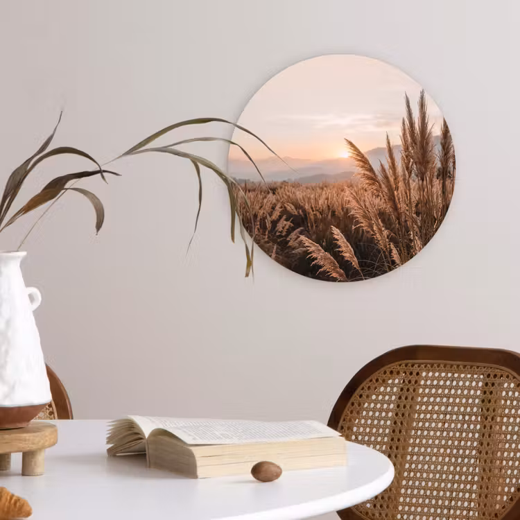 Muurcirkel - Gras - Veld - Zon - Natuur — 4