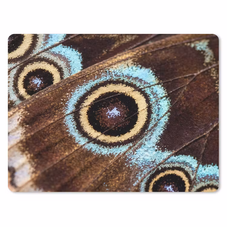 Muismat - Vleugels - Vlinder - Blauw — 1