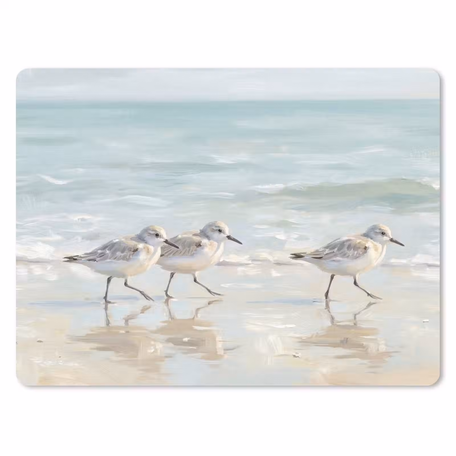 Muismat - Vogels - Strand - Zee — 1