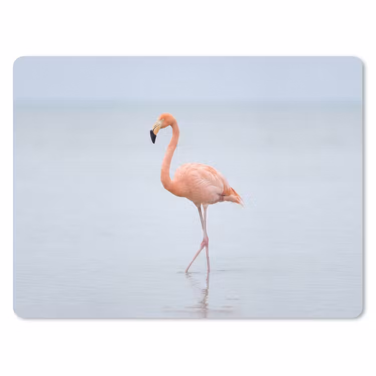 Muismat - Flamingo - Zee - Roze — 1