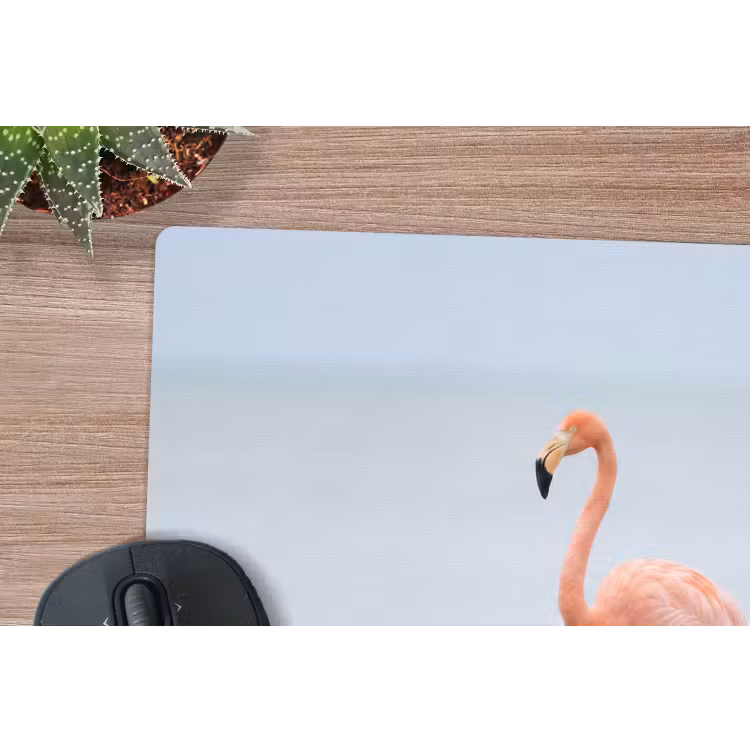 Muismat - Flamingo - Zee - Roze — 4