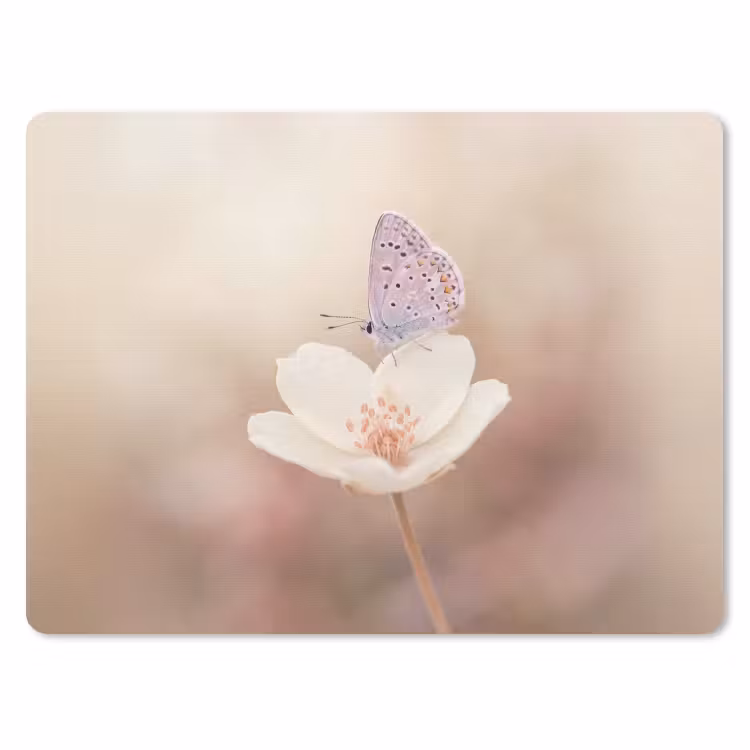 Muismat - Vlinder - Bloem - Blauw — 1