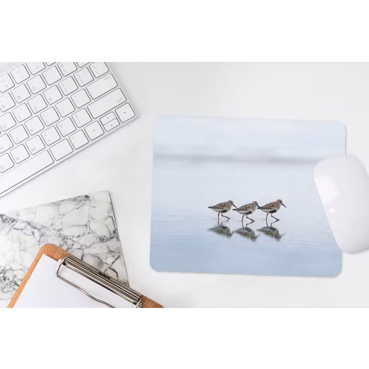 Muismat - Vogels - Water - Grijs — 2