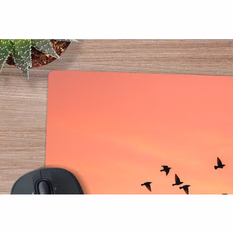 Muismat - Zwerm - Vogels - Oranje — 4