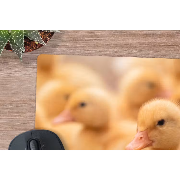 Muismat - Pijltje - Eend - Natuur - Geel — 4