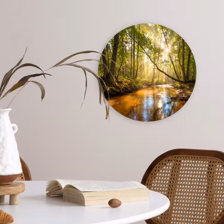 Muurcirkel - Bos - Beek - Zonlicht - Natuur - Groen — 4
