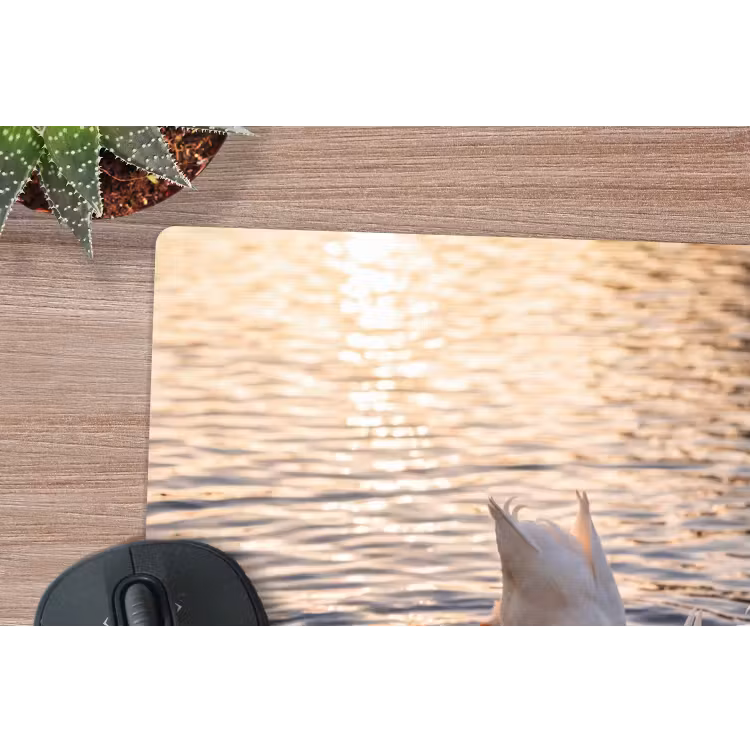 Muismat - Eenden - Water - Natuur — 4