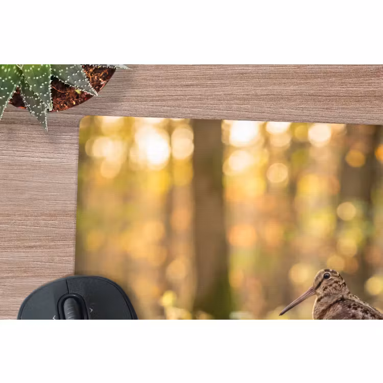 Muismat - Houtsnip - Bos - Bladeren - Herfst - Gecamoufleerd — 4