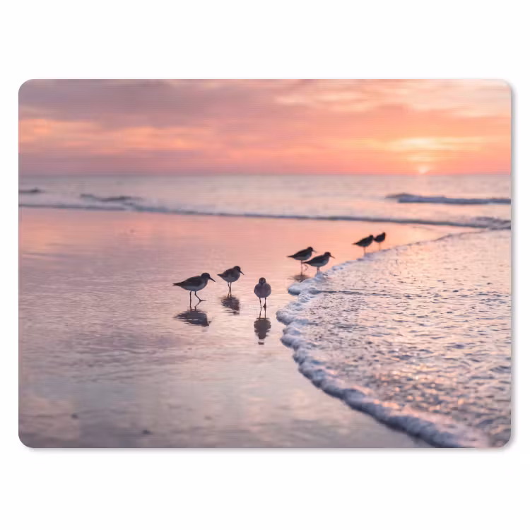 Muismat - Meeuwen - Strand - Zee - Roze — 1
