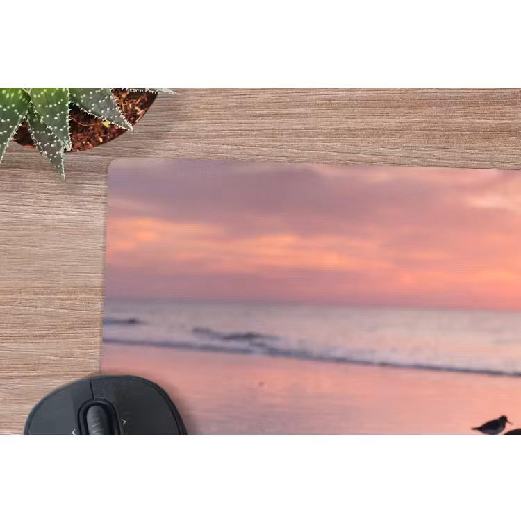 Muismat - Meeuwen - Strand - Zee - Roze — 4