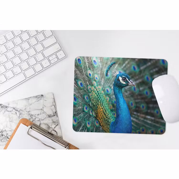 Muismat - Pauw - Veren - Blauw — 2