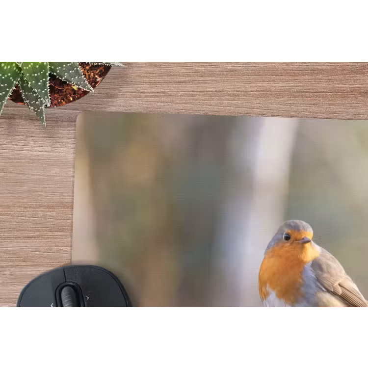 Muismat - Roodborst - Tak - Bessen - Natuur — 4