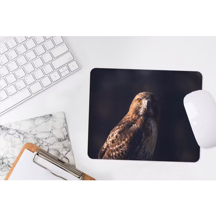 Muismat - Roofvogel - Buizerd - Bruin — 2