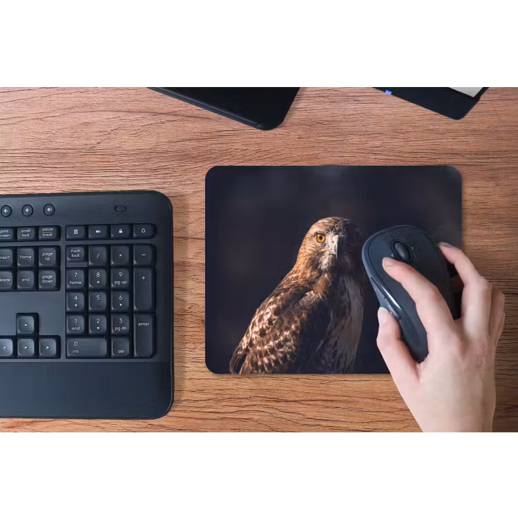 Muismat - Roofvogel - Buizerd - Bruin — 3