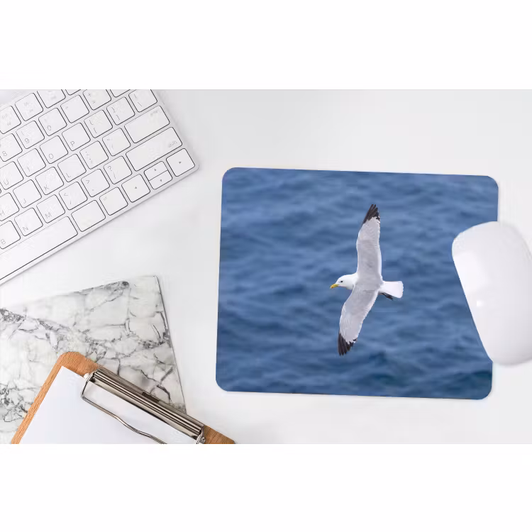Muismat - Zeemeeuw - Oceaan - Blauw — 2