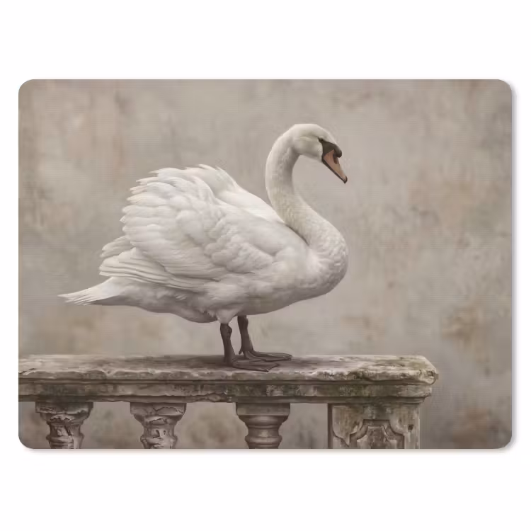 Muismat - Zwaan - Elegant - Dieren - Wit — 1