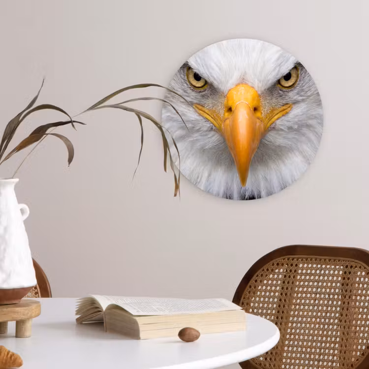 Muurcirkel - Amerikaans - Zeearend - Portret - Geel — 4