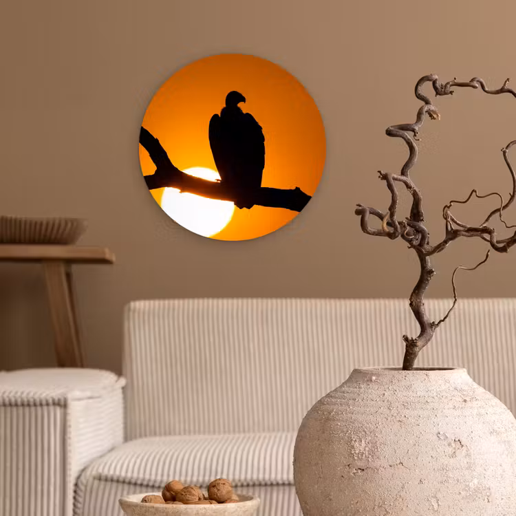 Muurcirkel - Gier - Tak - Zon - Oranje — 2