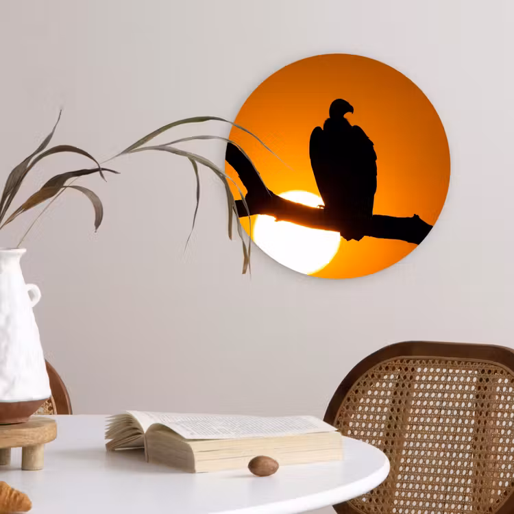 Muurcirkel - Gier - Tak - Zon - Oranje — 4